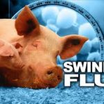 Swine Flu Virus and Symptoms