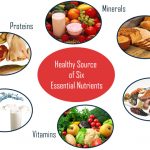Essential Body Nutrients