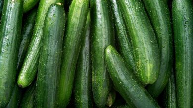 Benefits of Eating Cucumber for Eyes Health