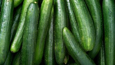 Benefits of Eating Cucumber for Eyes Health