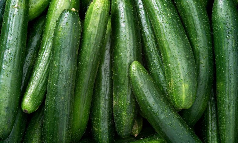 Benefits of Eating Cucumber for Eyes Health