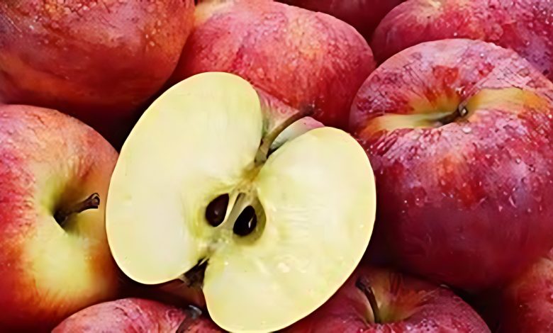 Apple KizilElma Benefits of Apple