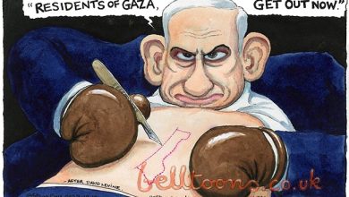 Israel Cartoon The Guardian