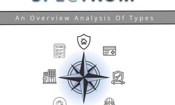 Navigating the Insurance Spectrum: An Overview Analysis of Types