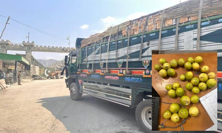 15 Tonnes of Pakistani Lemons Sent Back by Afghanistan Due to Infested Quality