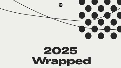 Complete List: Spotify 2025 Wrapped Pakistan Rankings
