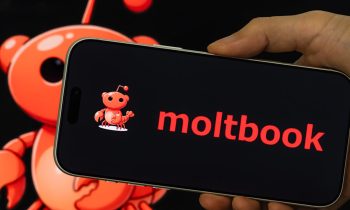 From Social Network to Digital Faith: The Strange World of Moltbook